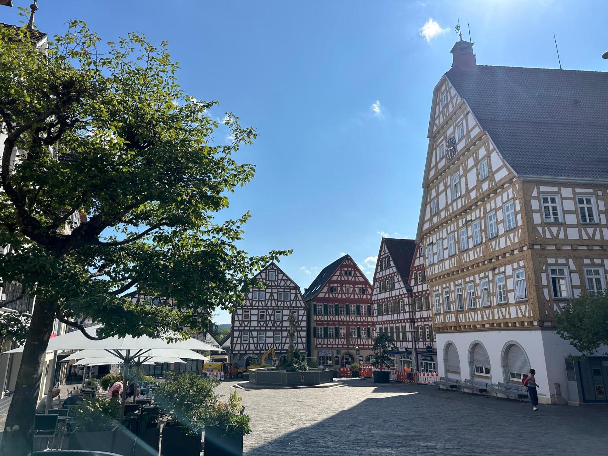 Apartment Im Herzen Der Altstadt - Leonberg Naehe Stuttgart المظهر الخارجي الصورة